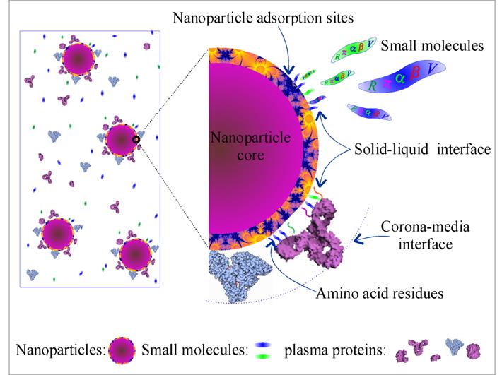 nanomaterial 